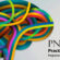 Diplomado en programación neurolingüística aplicada PNLA