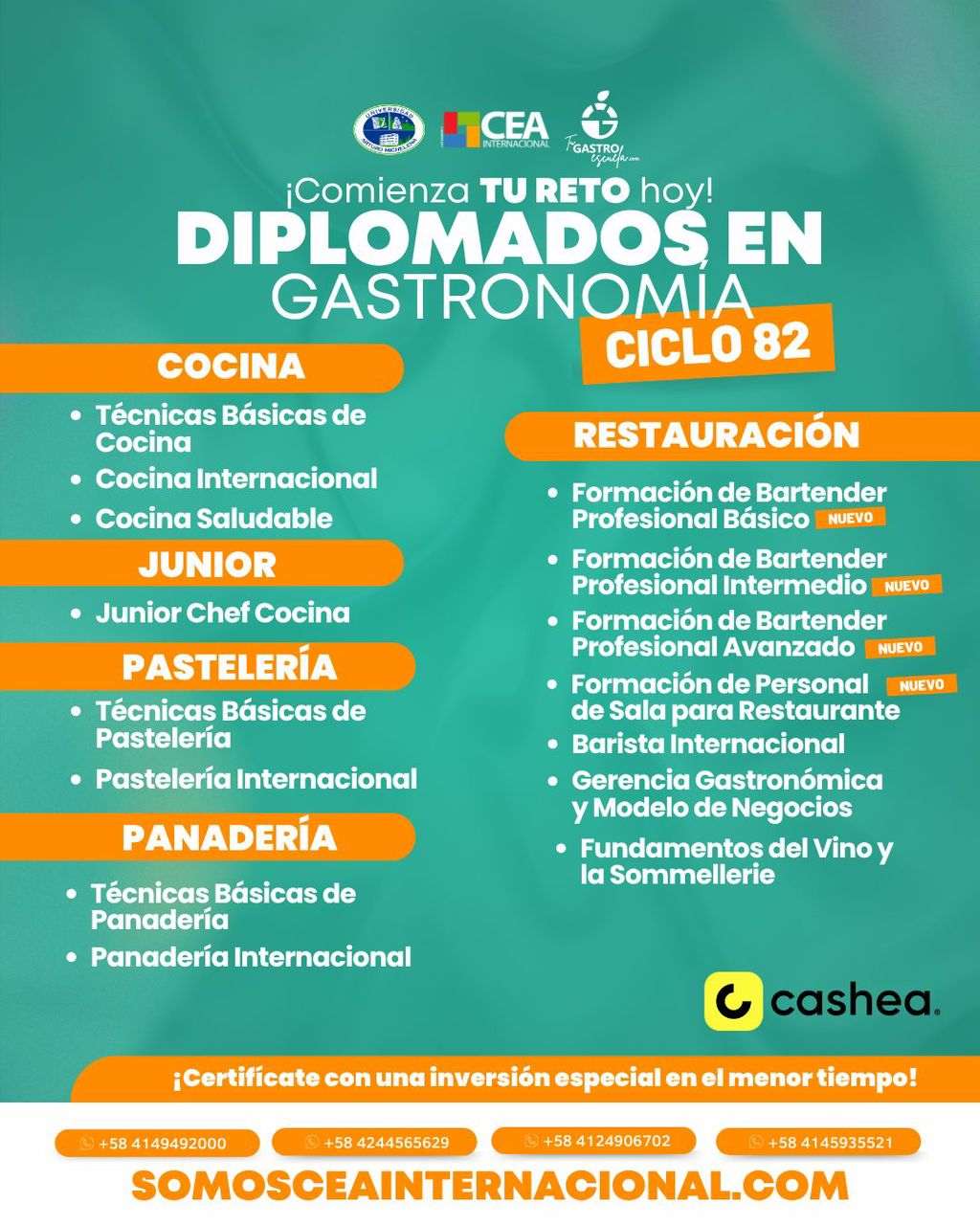 NO DISPONIBLE