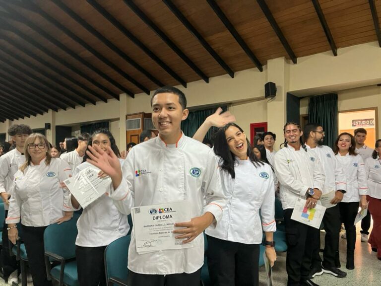 Experience Faculties